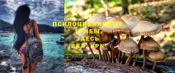 кокс Баксан